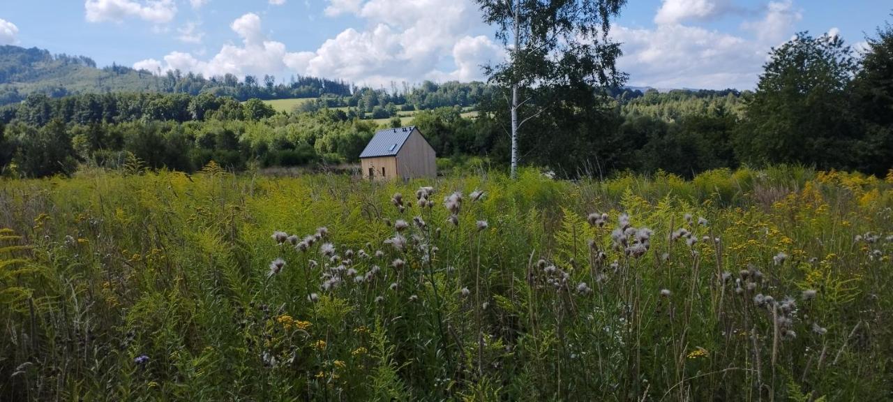 Villa Dom Wsrod Gwiazd à Jarnołtówek Extérieur photo